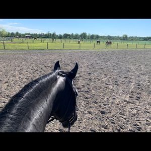 Meet your Posher, Isabelle